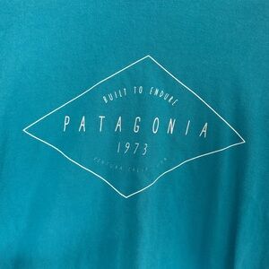 Patagonia blue T-shirt